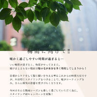 ブログ