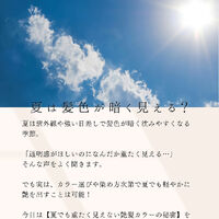 ブログ