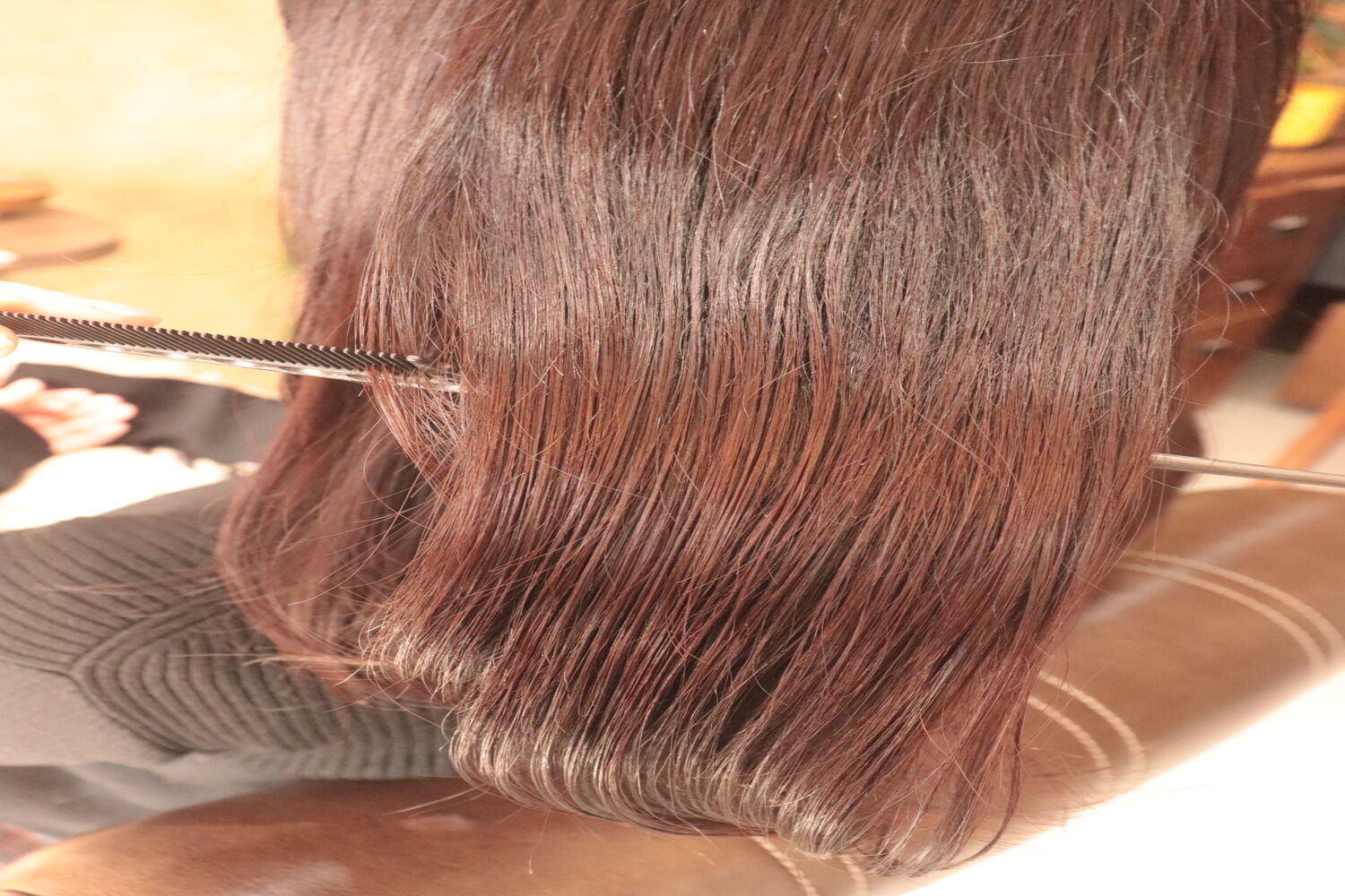 ブログ
